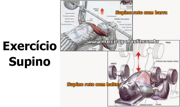 Exercício Supino