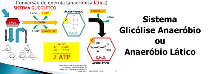 Glicólise Anaeróbio ou Anaeróbio Lático