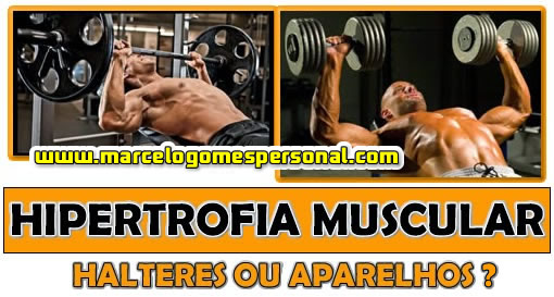 Halteres ou Aparelhos Para Mais Hipertrofia Muscular?