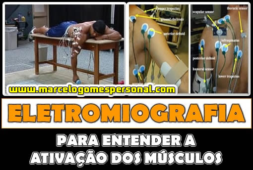 O Que é Eletromiografia e Ativação Muscular na Musculação?