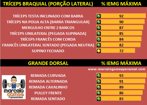 Tríceps Braquial Porção Lateral, Grande Dorsal Costas