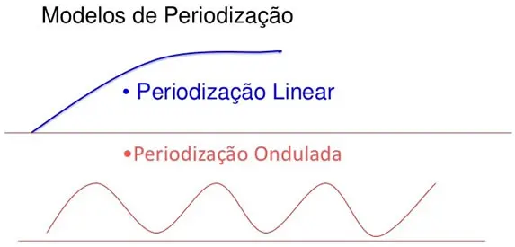 Modelos de Periodização - Linear e Ondulada
