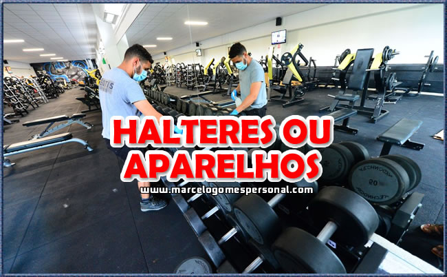 halteres ou aparelhos para hipertrofia muscular