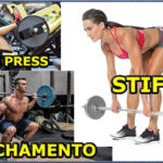 leg press, stiff e agachamento - quais as diferenças