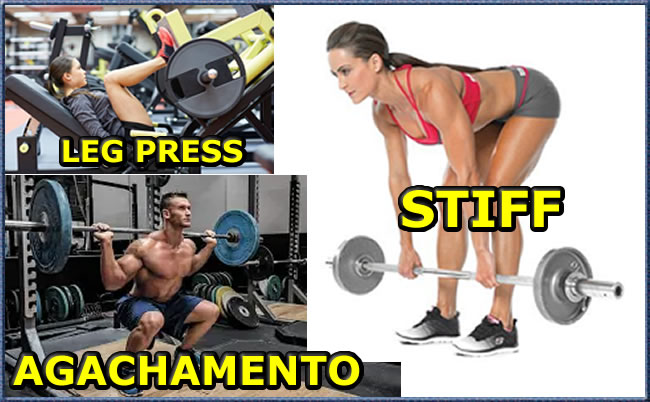 leg press, stiff e agachamento - quais as diferenças