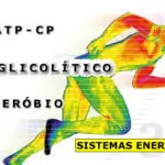 sistemas energéticos - atc-cp, glicolítico e aeróbio