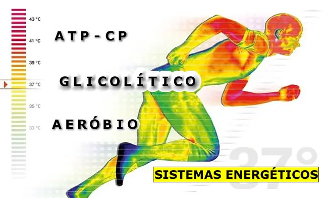 sistemas energéticos - atc-cp, glicolítico e aeróbio