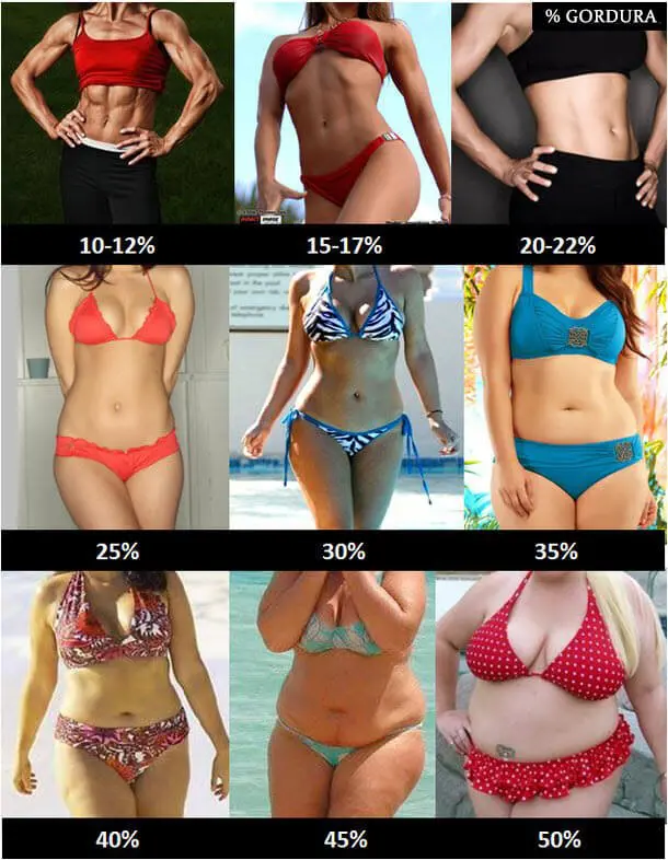 Quantidade aproximada de gordura corporal feminina