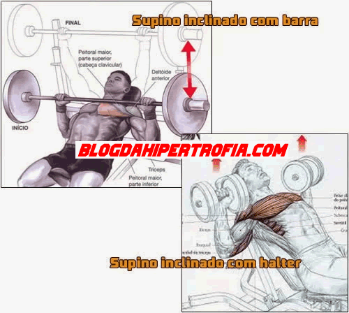 Supino Inclinado com barra e supino inclinado com halter