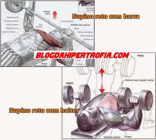 Supino reto com barra e supino reto com halter