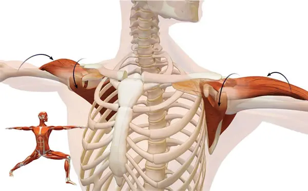 Análise biomecânica dos ombros
