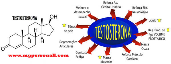 testosterona - diferenças entre falha concêntrica e falha técnica