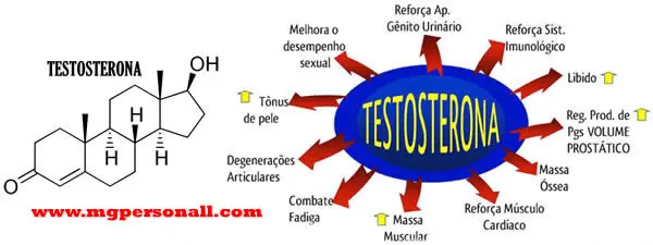 O que é testosterona