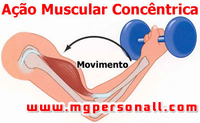 tipos de contração muscular - concêntrica