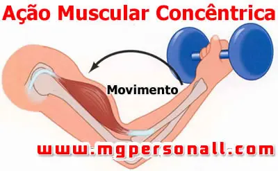 tipos de contração muscular - concêntrica