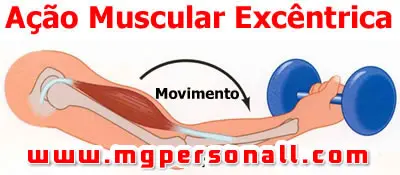 tipos de contração muscular - excêntrica