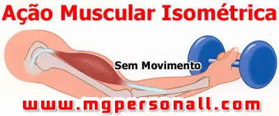 tipos de contração muscular - isométrica