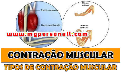 tipos de contração muscular