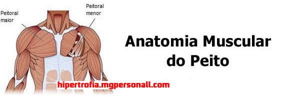 Anatomia Muscular do Peito