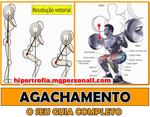 agachamento livre com barra