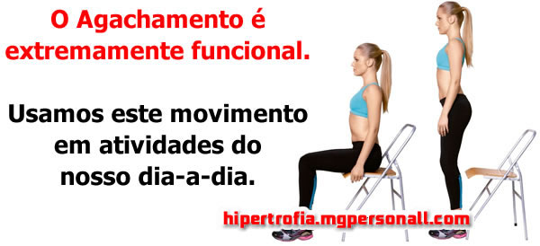 agachamento - um exercício funcional