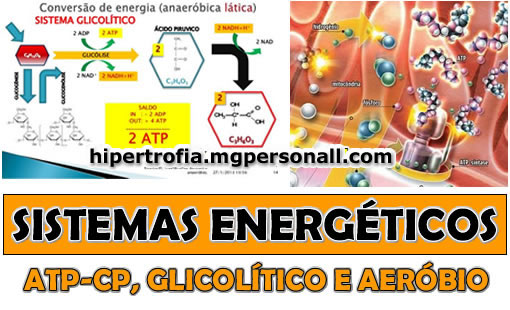 Sistemas Energéticos - ATP-CP, Glicolítico e Aeróbio