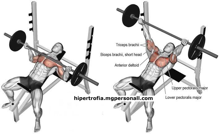 Supino Inclinado com barra - como calcular as calorias