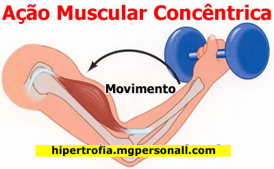 Fase Concêntrica do movimento