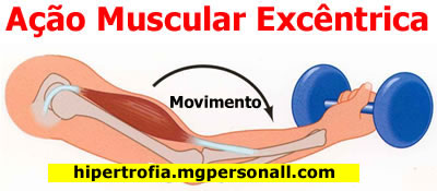 Métodos de Treinamento na Musculação - Fase Excêntrica do Movimento