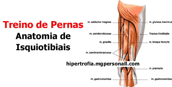 Treino de Pernas do Kai Greene - Anatomia de Isquiotibiais