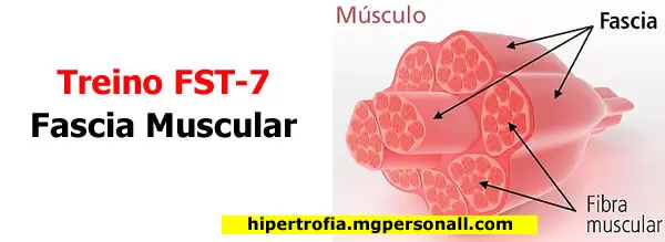 Treino FST-7 - Fascia Muscular