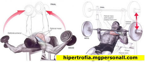 Treino Biset de Peito