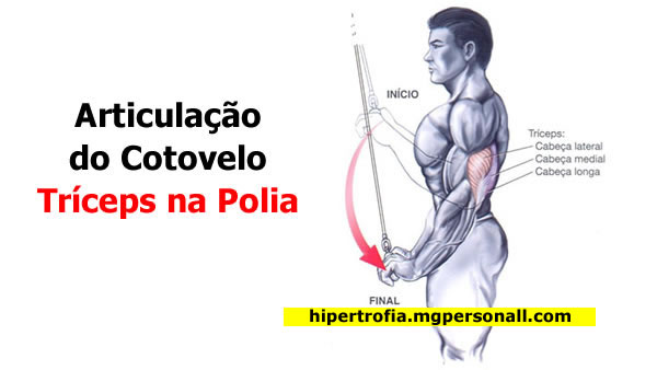 Tríceps na Polia - Análise Cinesiológica