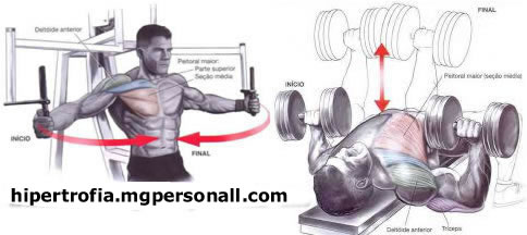 Peck Deck e Supino Reto com Dumbbell 