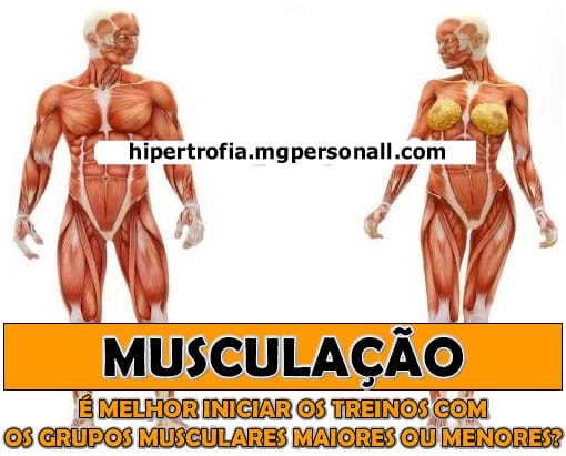 Grupos Musculares Maiores ou Menores para iniciar o Treino de Musculação?