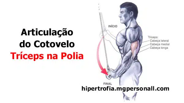 Tríceps na Polia - Grupos Musculares