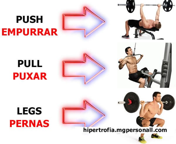 Parcelamento de Treino Push Pull Legs