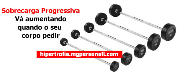 Sobrecarga progressiva na musculação