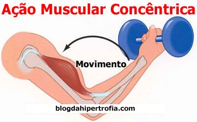 ação muscular concêntrica - repetições para hipertrofia