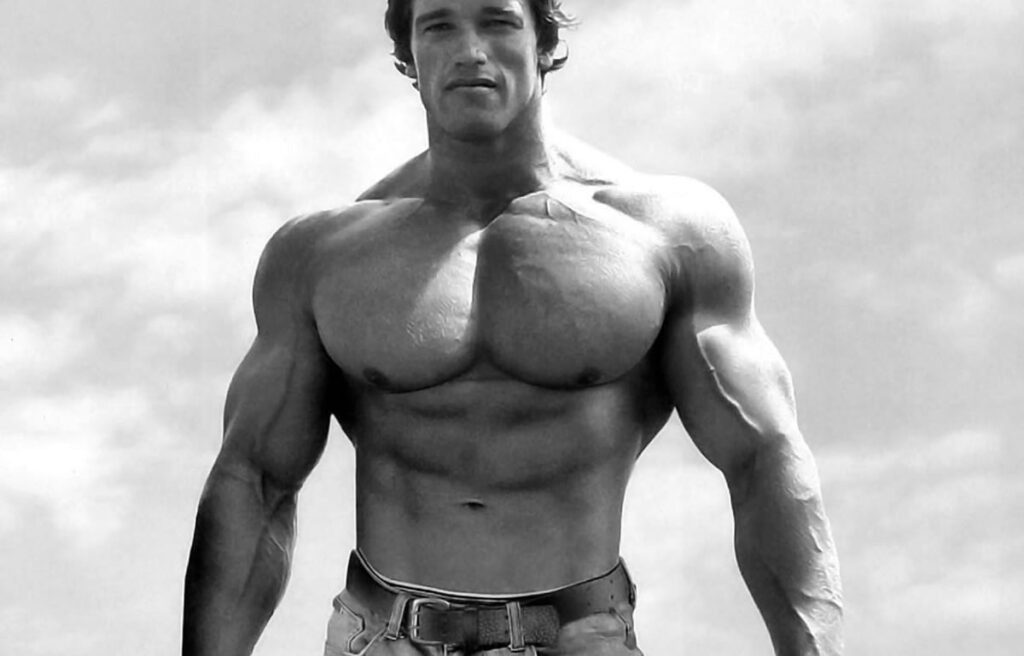 arnold 02