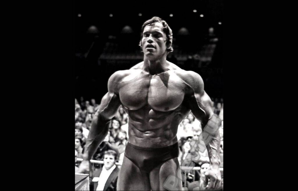 arnold 04