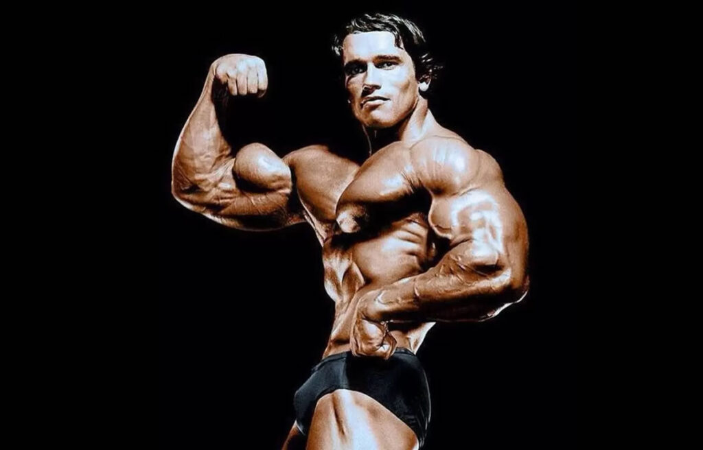 arnold 06