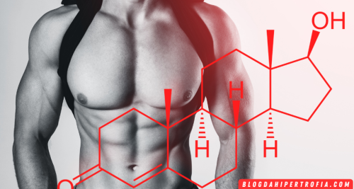 Musculação Aumenta Testosterona